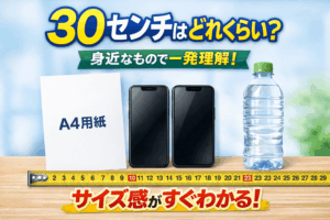 30センチはどれくらい？身近なもの・具体例でサイズ感を一発理解